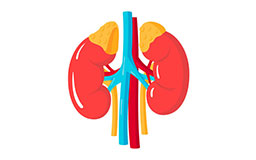 adrenalectomy